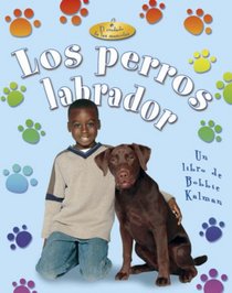 Los Perros Labrador/ Labrador Retriever (El Cuidado De Las Mascotas/ Pet Care)
