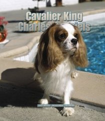 Cavalier King Charles Spaniels 2005 Weekly Engagement Calendar