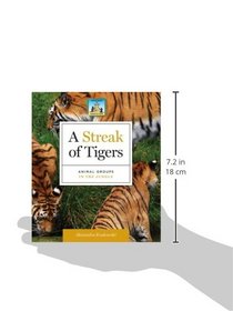 A Streak of Tigers: Animal Groups in the Jungle