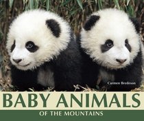 Baby Animals of the Mountains (Nature's Baby Animals)