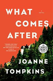 What Comes After: A Novel (Random House Large Print)