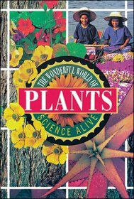 The Wonderful World of Plants (Big Books)