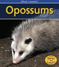 Opossums: 2nd Edition (What's Awake?)