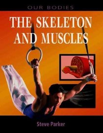 The Skeleton and Muscles (Our Bodies)