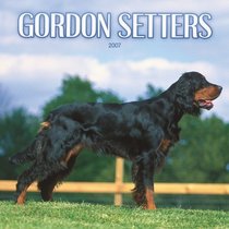 Gordon Setters 2007 Calendar
