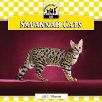 Savannah Cats (Checkerboard Animal Library: Cats)