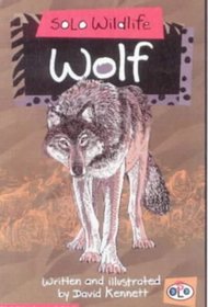 Solo Wildlife: Wolf