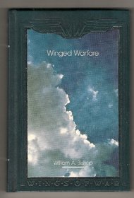 Winged Warfare: Hunting the Huns in the Air (Wings of War)