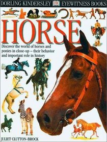 Eyewitness: Horse