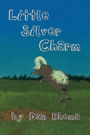 Little Silver Charm