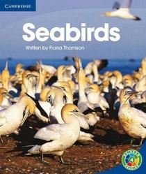 Rainbow Reading Level 4 - Life and Living: Seabirds Box C: Level 4