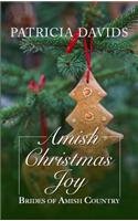 Amish Christmas Joy (Thorndike Press Large Print Christian Romance Series)