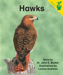Early Reader: Hawks