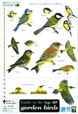 Guide to the Top 50 Garden Birds (Field Studies Council Occasional Publications)