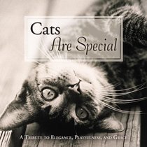 Cats Are Special: A Tribute to Elegance, Playfulness, and Grace