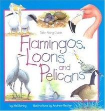 Flamingos, Loons And Pelicans (Take Along Guide)