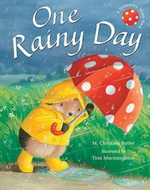 One Rainy Day (Little Hedgehog, Bk 3)