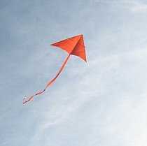 Kite (Ladybird Sunstart Reading Scheme)