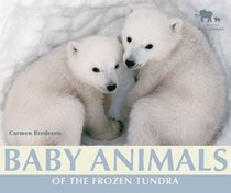 Baby Animals of the Frozen Tundra (Nature's Baby Animals)