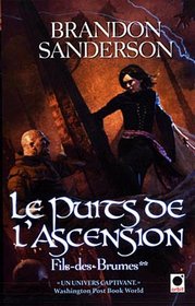 Fils-des-brumes, Tome 2 (French Edition)