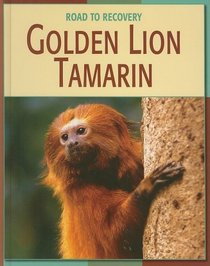 Gold Lion Tamarin (Road to Recovery)