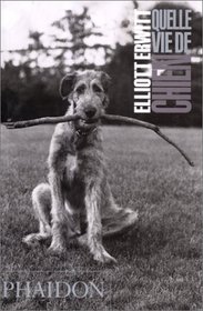Quelle vie de chien