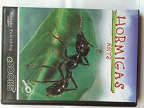 Hormigas / Ants (Spanish Edition)