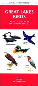 Great Lakes Birds (Pocket Naturalist - Waterford Press)