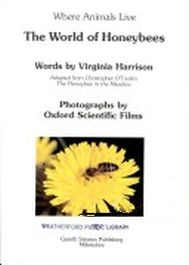 The World of Honeybees (Where Animals Live)