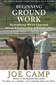 Beginning Ground Work: Everything We've Learned About Relationship and Leadership (Volume 6)