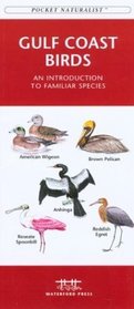 Gulf Coast Birds: An Introduction to Familiar Species