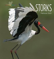 Storks: Living Wild