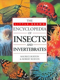 Little Brown Encyclopedia of Insects and Invertebrates