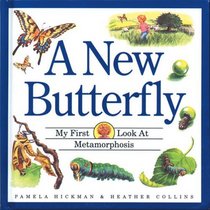A New Butterfly: My First Look at Metamorphosis (My First Look at Nature)