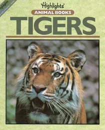 Tigers (Animal Books)