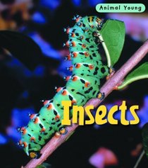 Insects (Animal Young)