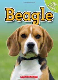 Beagle (Top Dogs (Children's Press))