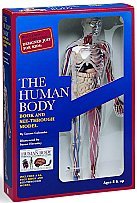 The Human Body Book and See-Through Model