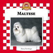 Maltese (Dogs Set VI)