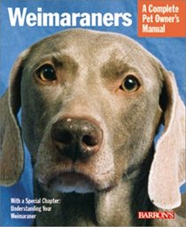 Weimaraners: Everything About Housing, Care, Nutrition Breeding and Health Care