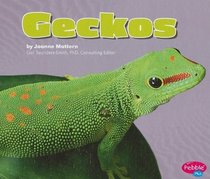 Geckos (Pebble Plus)