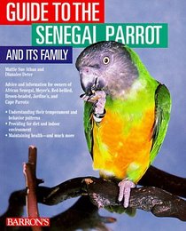 Guide to Senegal Parrot and Its Family