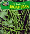 Take-off! Life Cycle of a Broad Bean (Take-off!)