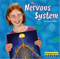 The Nervous System (Human Body Systems)