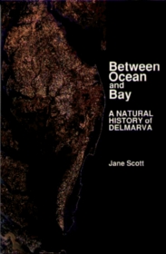 Between Ocean and Bay: A Natural History of Delmarva