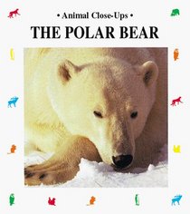 The Polar Bear (Animal Close-Ups)