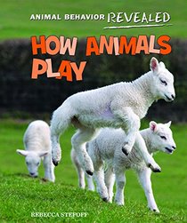 How Animals Play (Animal Behavior Revealed)