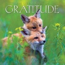 The Little Book of Gratitude