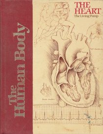 The heart, the living pump (The Human body)