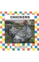 Chickens (Farm Animals)